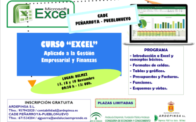 Curso «Excel» Aplicado a la gestión empresarial y finanzas