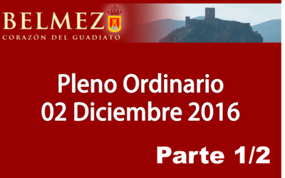 Vídeos del Pleno Ordinario del pasado día 02 de diciembre