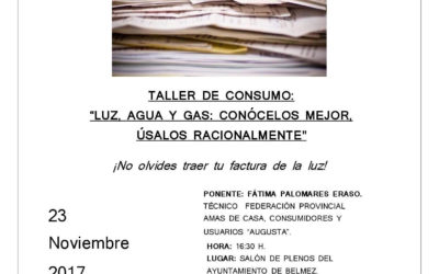 Taller de consumo: Luz, agua y gas.