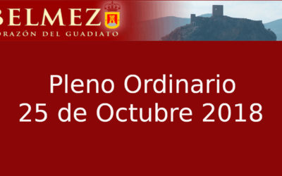 Pleno Ordinario 25 de octubre de 2018