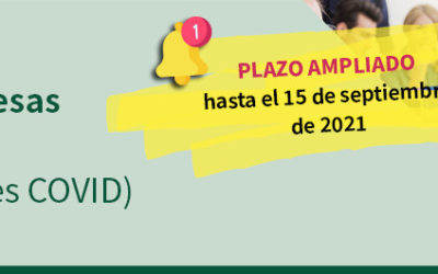 Ampliación del plazo para ayudas de solvencia hasta el 15 de septiembre 2021.