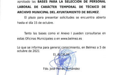 BANDO. SELECCIÓN PERSONAL LABORAL TEMPORAL DE TÉCNICO DE ARCHIVO MUNICIPAL.