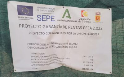 Proyecto Garantía de rentas PFEA 2022